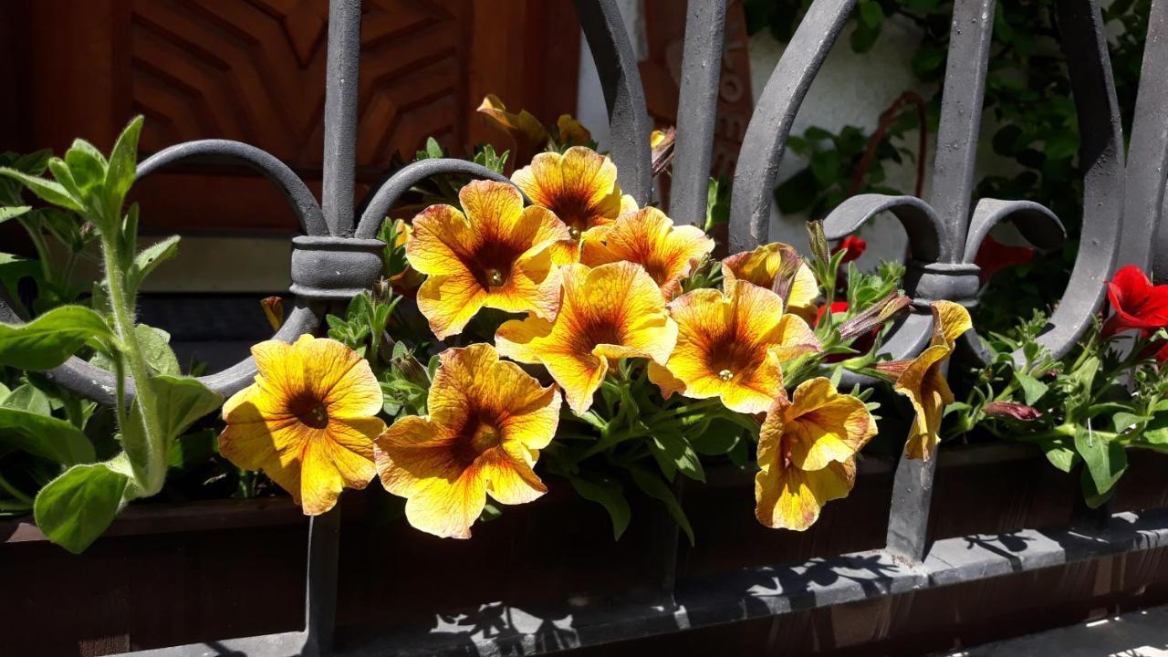 Apartmán Haus Ruetzbach Neustift im Stubaital Exteriér fotografie